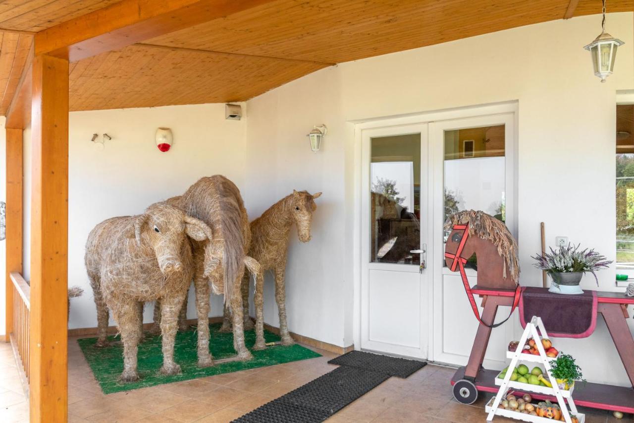 Farm stay Farma Slunecny Dvur A Family Stany Strecha Pod Strechou