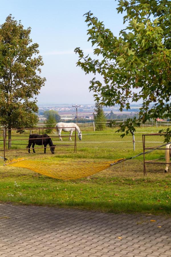 Farm stay Farma Slunecny Dvur A Family Stany Strecha Pod Strechou Hermanuv Mestec